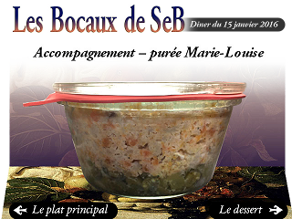seb-bocaux_bocal_4_lead.png