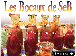 seb-bocaux_home_lead.png